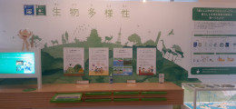 生物多様性の展示