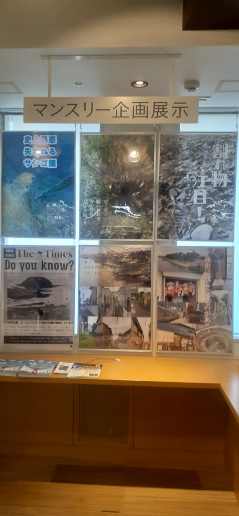 展示の様子
