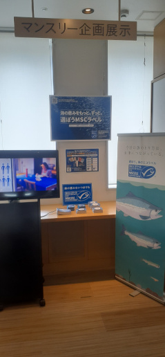 展示の様子
